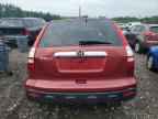 2007 HONDA CR-V