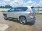 2020 LEXUS GX 460