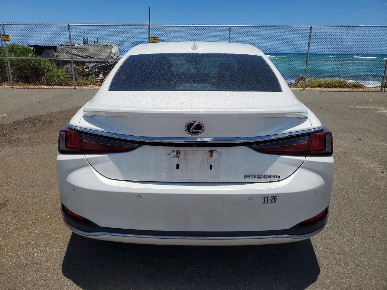2019 LEXUS ES 300H
