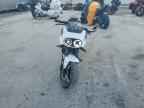 2024 CF MOTO Papio