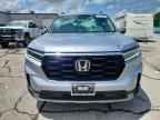 2023 HONDA PILOT