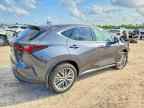 2025 LEXUS NX 350