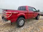 2013 FORD F-150 Lightning