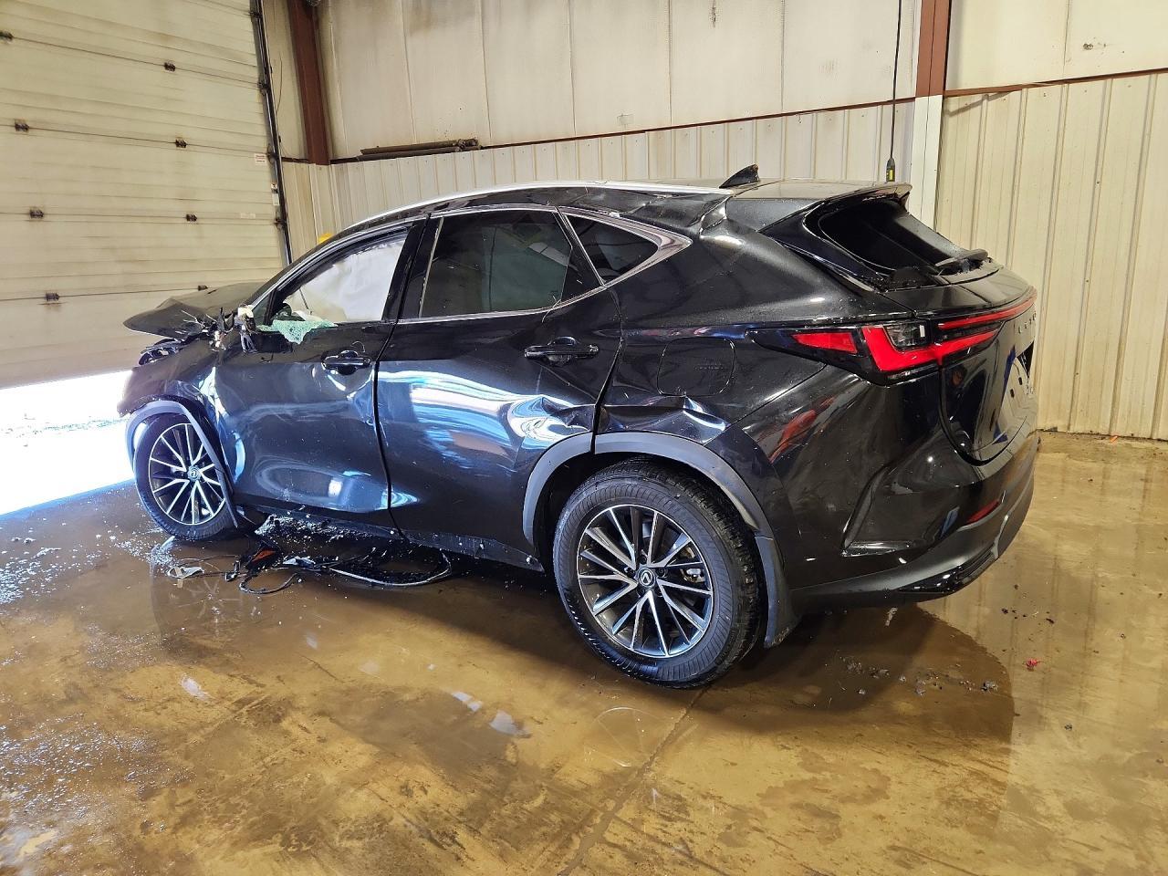 2024 LEXUS NX 350