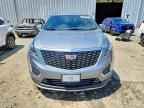 2024 CADILLAC XT5