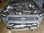 2025 TOYOTA 4Runner