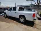 2010 DODGE Dakota