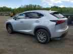 2019 LEXUS NX 300