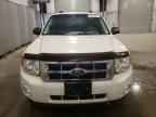 2010 FORD ESCAPE