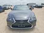 2023 LEXUS ES 350