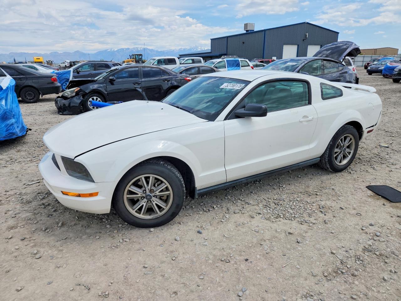 2005 FORD MUSTANG