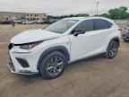2019 LEXUS NX 300
