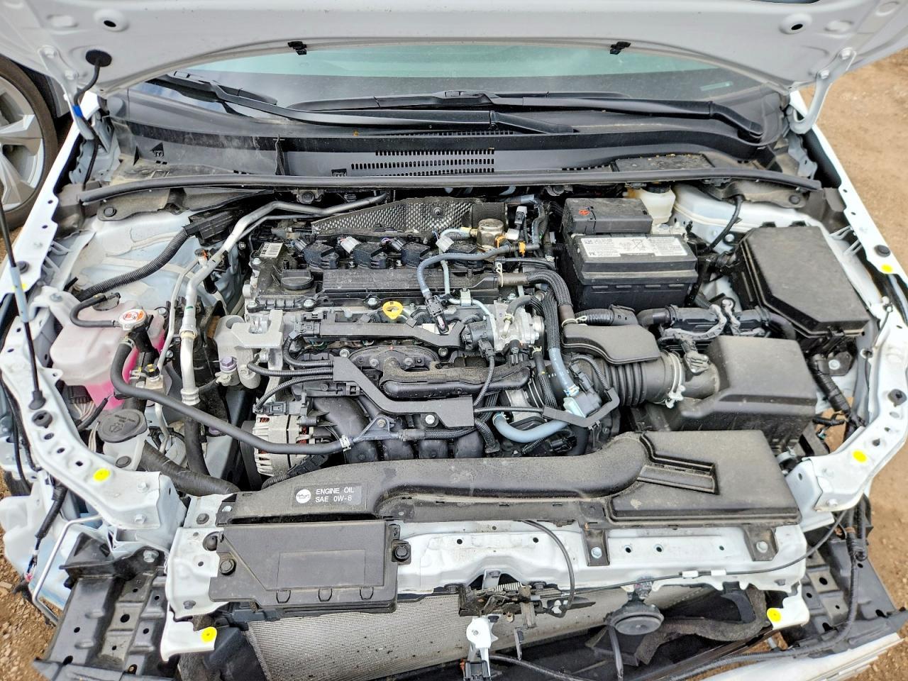 2026 TOYOTA COROLLA