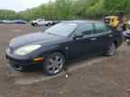2006 LEXUS ES 330