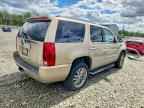 2007 CADILLAC ESCALADE