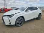 2025 LEXUS UX 300H