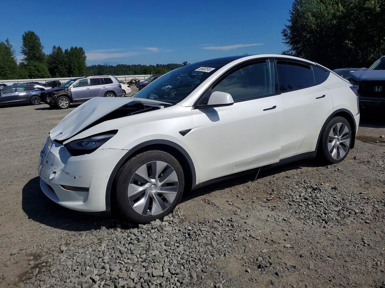 2021 TESLA MODEL Y