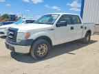 2014 FORD F-150 Lightning