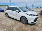 2023 TOYOTA SIENNA