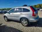 2010 HONDA CR-V