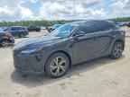 2023 LEXUS RX 350