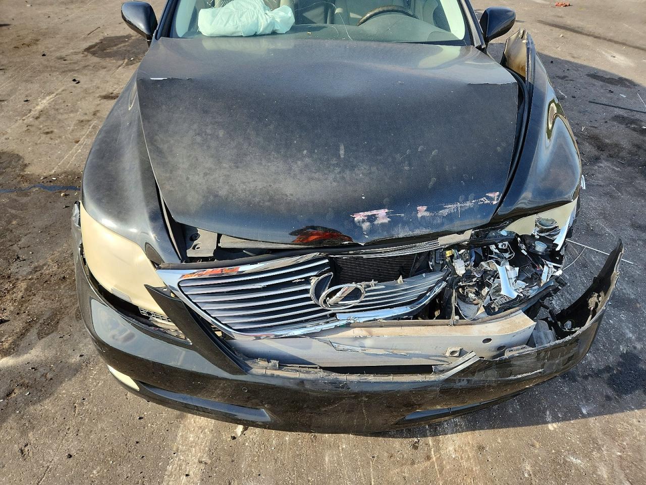 2007 LEXUS LS 460