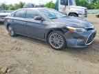 2017 TOYOTA Avalon