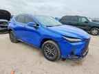 2025 LEXUS NX 250