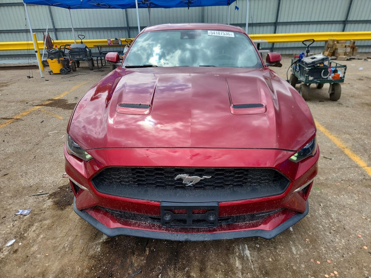 2019 FORD MUSTANG