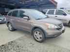 2010 HONDA CR-V
