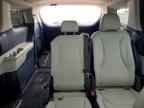 2025 KIA Carnival