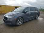 2024 HONDA ODYSSEY