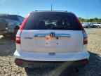 2007 HONDA CR-V