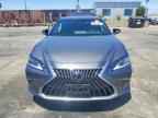 2024 LEXUS ES 350