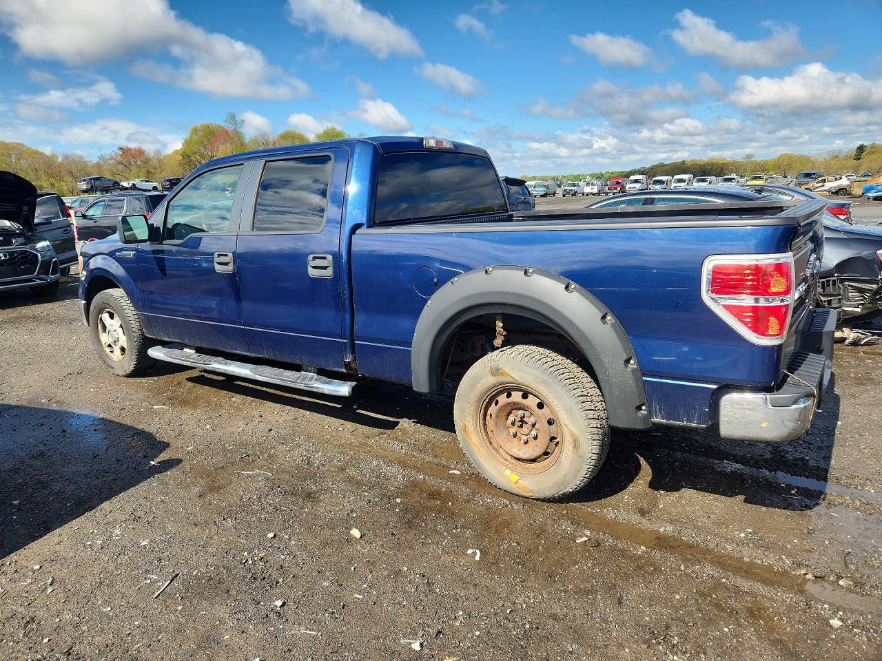 2010 FORD F-150 Lightning