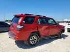 2023 TOYOTA 4Runner