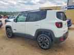 2023 JEEP Renegade