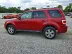2009 FORD ESCAPE