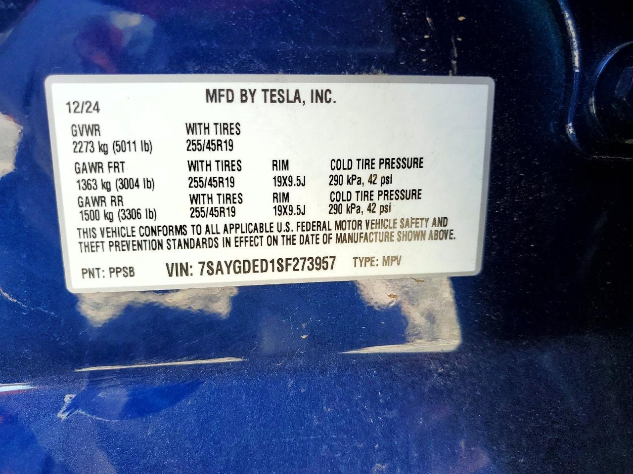 2025 TESLA MODEL Y