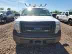 2013 FORD F-150 Lightning