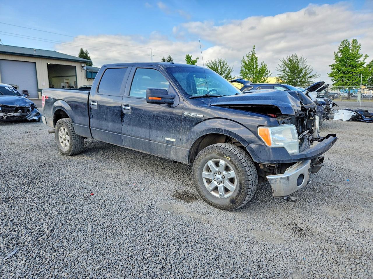 2013 FORD F-150 Lightning