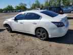 2013 NISSAN Maxima