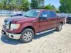 2010 FORD F-150 Lightning