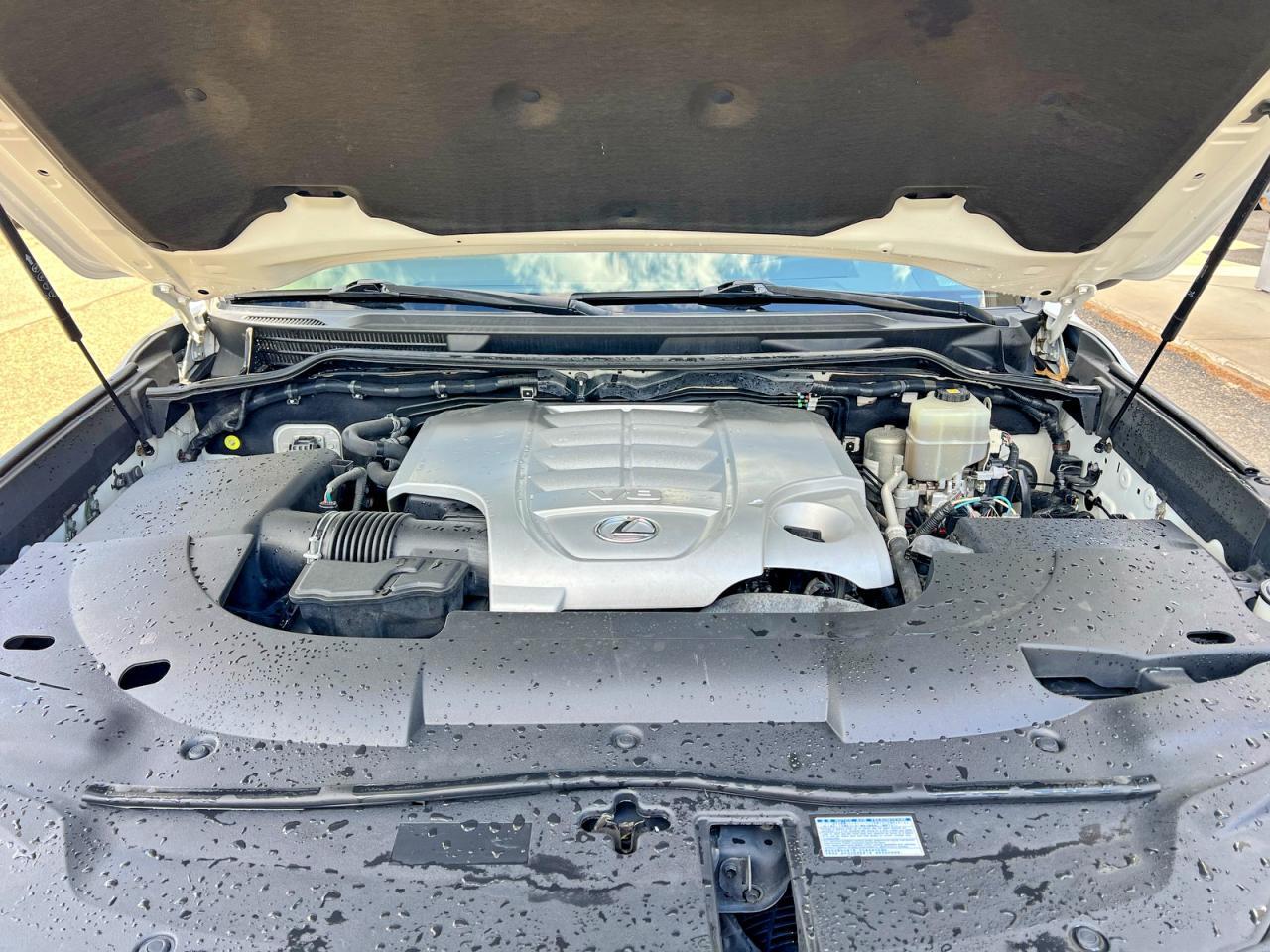 2019 LEXUS LX 570