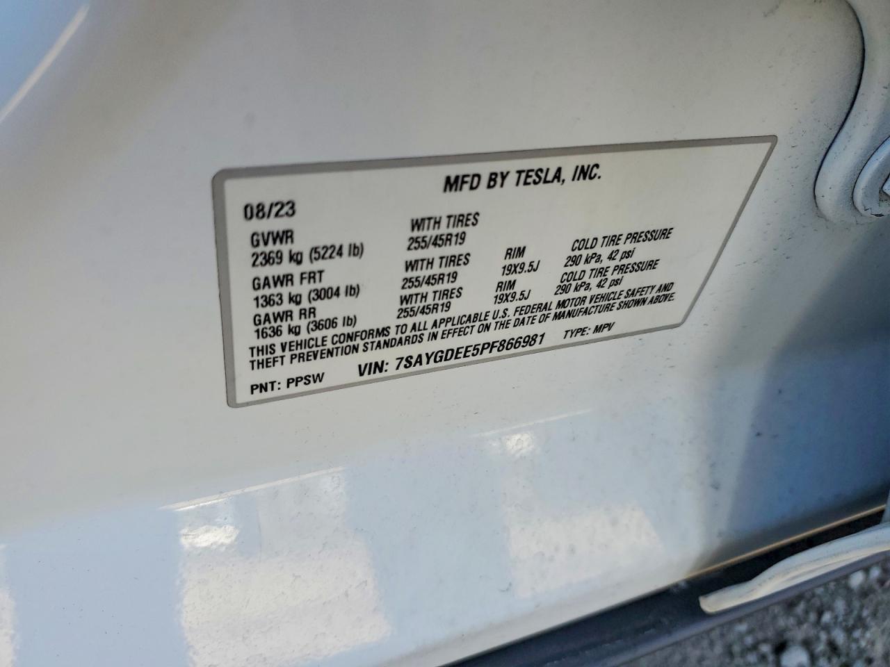 2023 TESLA MODEL Y