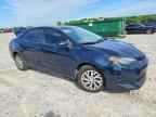 2019 Toyt Corolla
