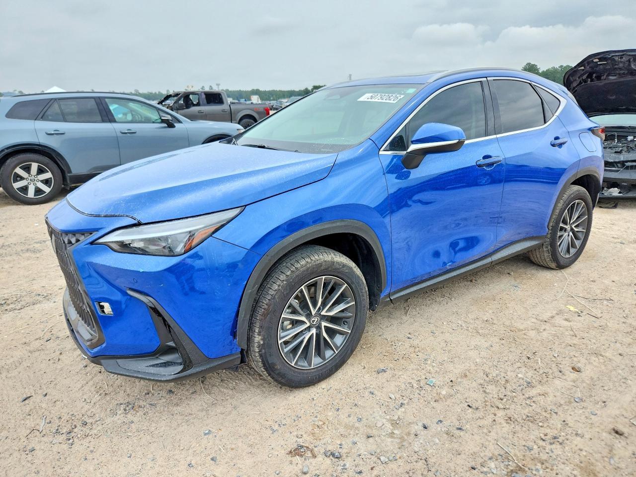 2025 LEXUS NX 250