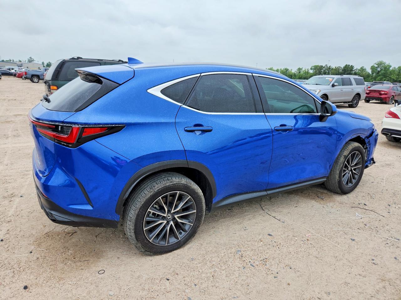 2025 LEXUS NX 250
