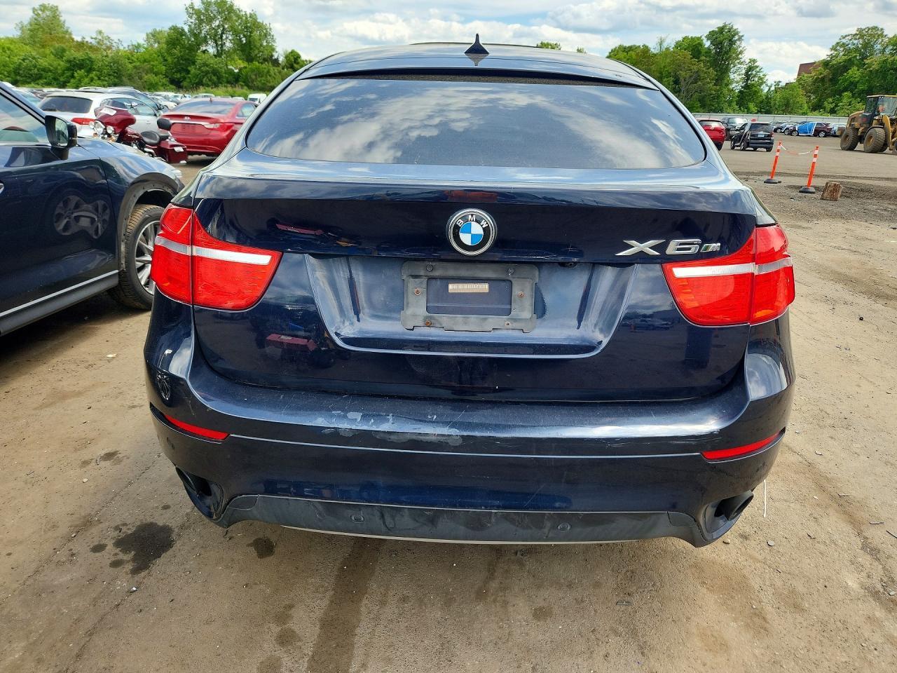 2010 BMW X6