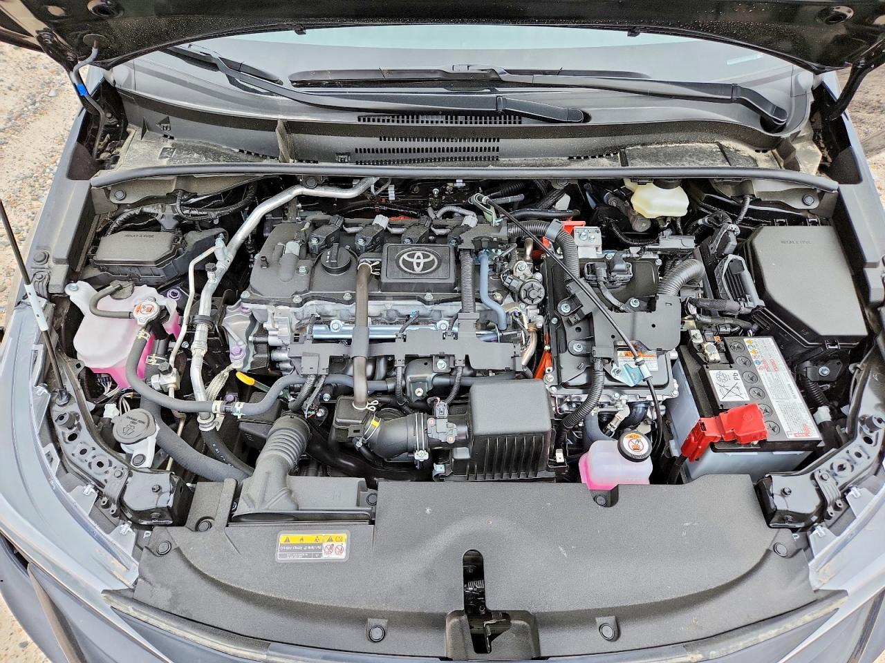 2026 TOYOTA COROLLA
